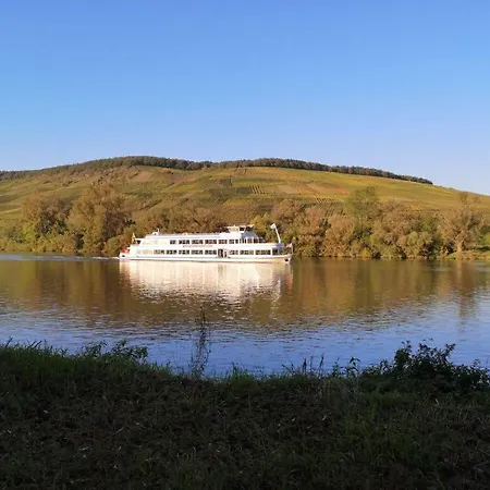 Lovely In Mülheim an der Mosel