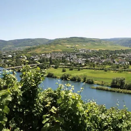 Lovely In Mülheim an der Mosel